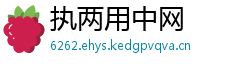 执两用中网
